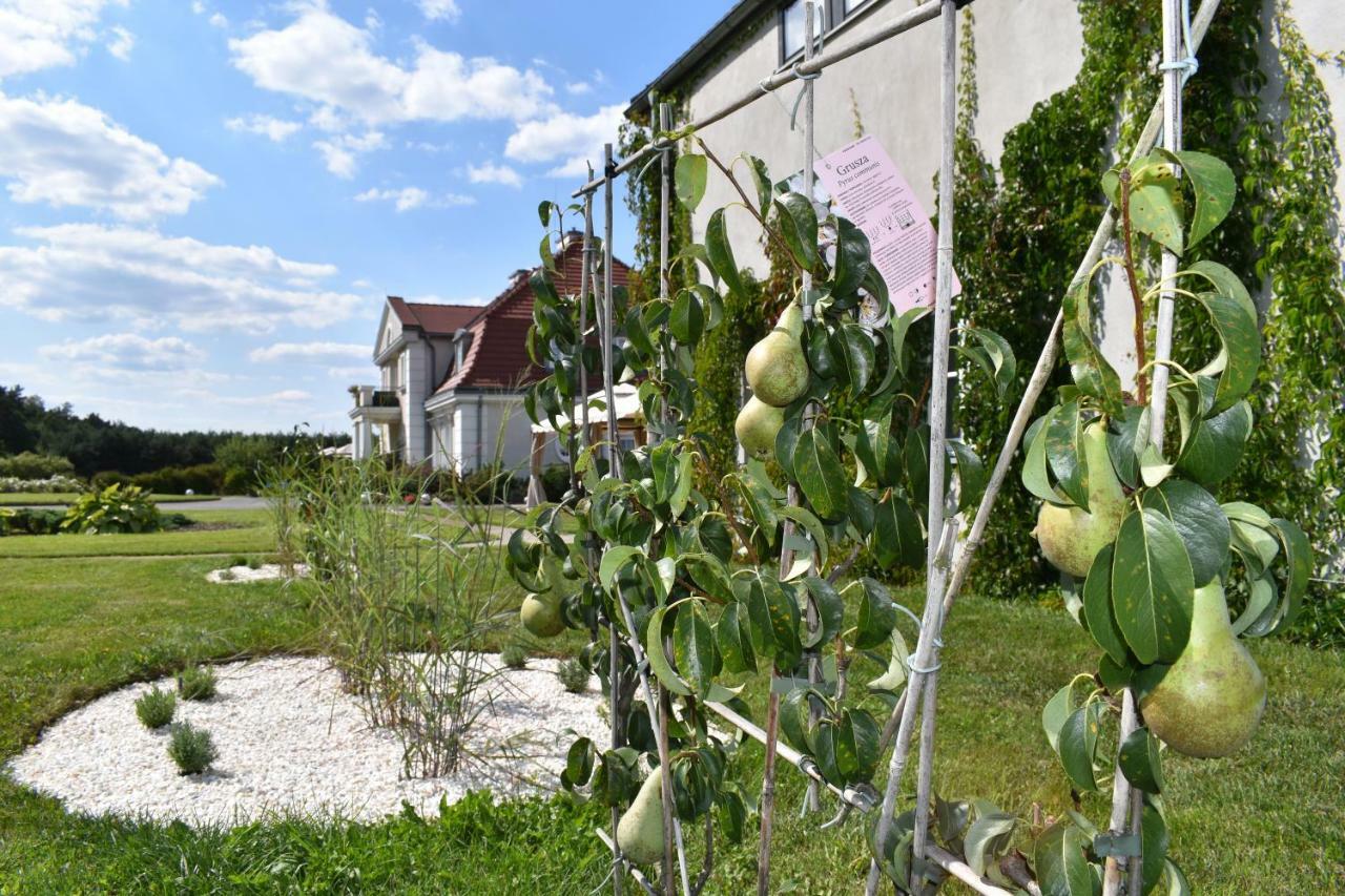 Отель Eco Неборув Экстерьер фото